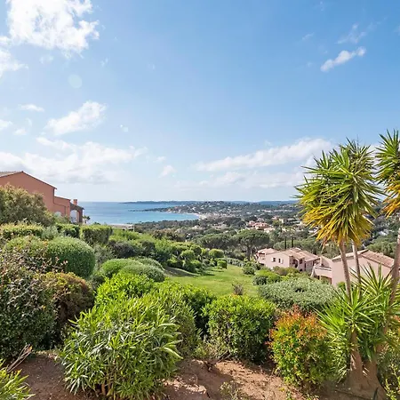 Le Ptit Zlatan, Vue Exceptionnelle Sur La