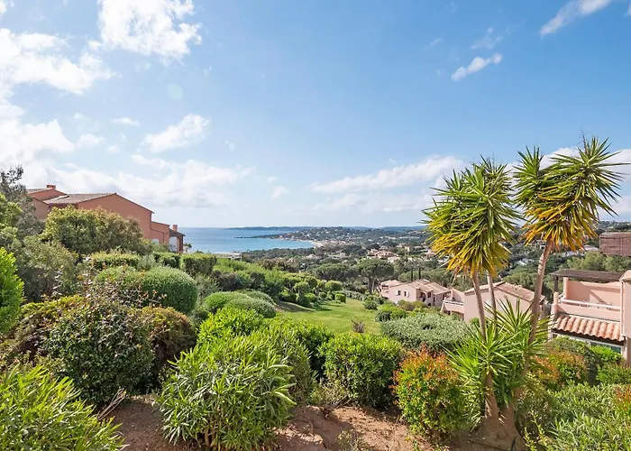 Le Ptit Zlatan, Vue Exceptionnelle Sur La